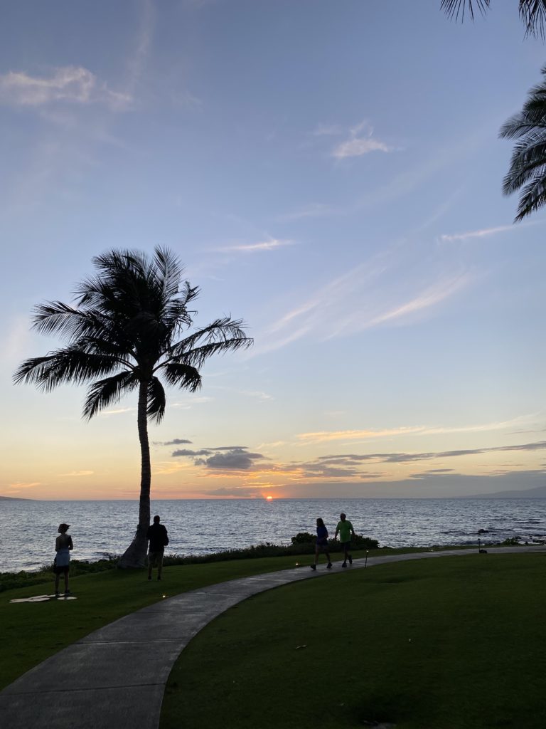 travel with kids to hawaii